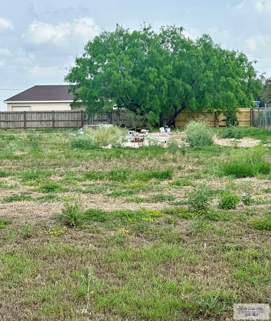 17987 Forest Lane, COMBES, Texas image 2