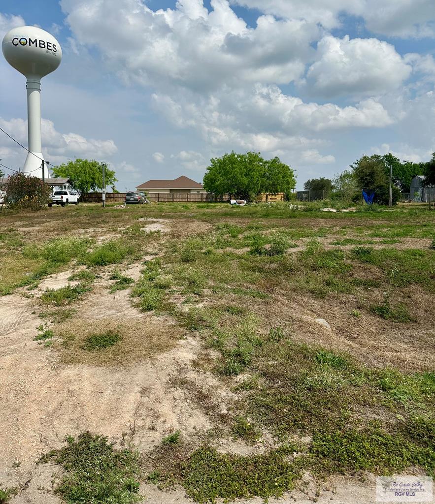 17987 Forest Lane, COMBES, Texas image 1