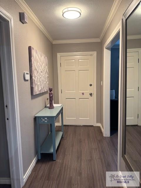 1875 Sancho Panza Cir, BROWNSVILLE, Texas image 3