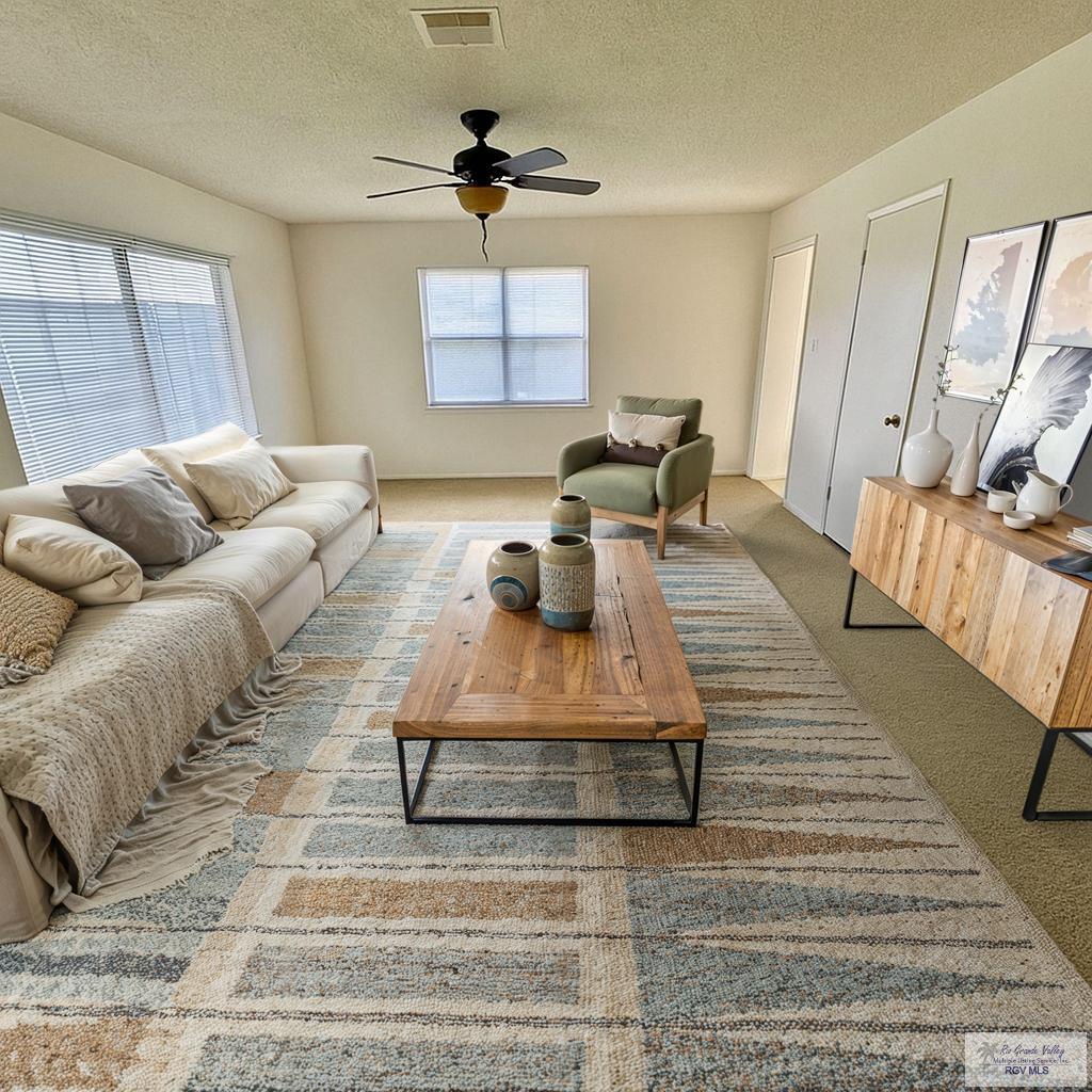 3421 Brasilia Dr, BROWNSVILLE, Texas image 3