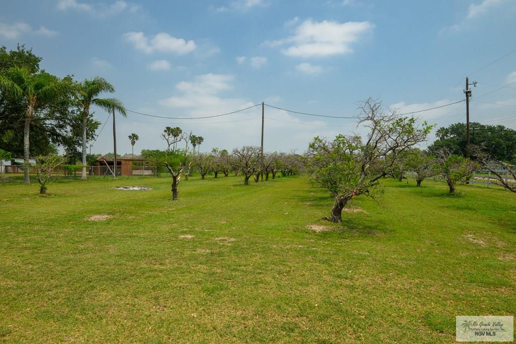 26086 Rabb Rd, LA FERIA, Texas image 38