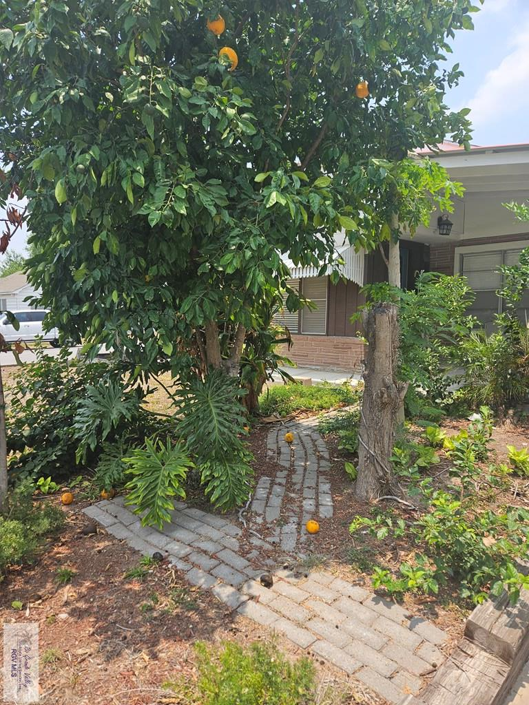 222 W Filmore Ave, HARLINGEN, Texas image 13