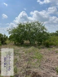 40 AC Ohio Station Rd, SAN BENITO, Texas image 20