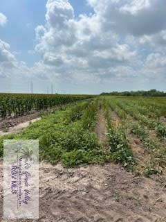 40 AC Ohio Station Rd, SAN BENITO, Texas image 13
