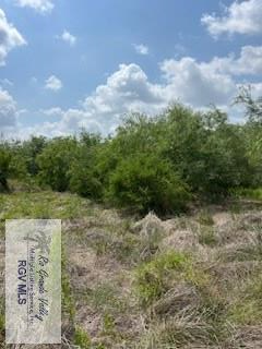 40 AC Ohio Station Rd, SAN BENITO, Texas image 22
