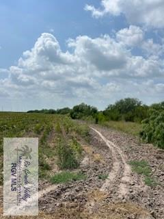 40 AC Ohio Station Rd, SAN BENITO, Texas image 18