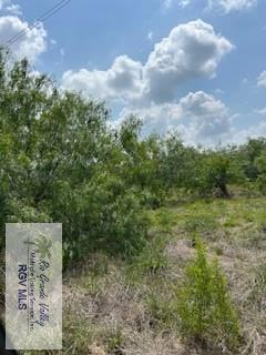 40 AC Ohio Station Rd, SAN BENITO, Texas image 21