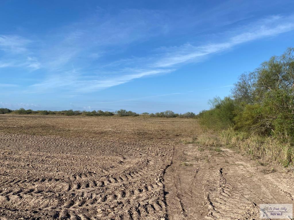 9.85 AC Coolidge St, HARGILL, Texas image 4