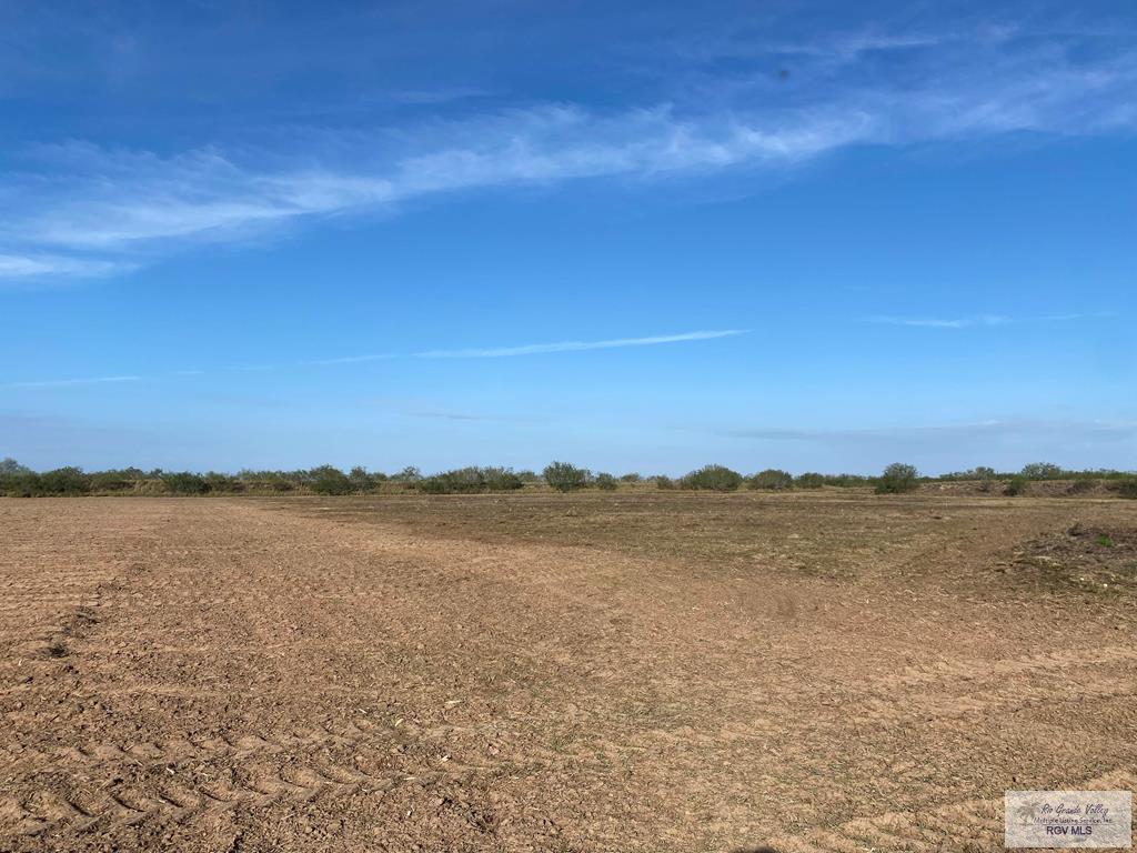 9.85 AC Coolidge St, HARGILL, Texas image 6