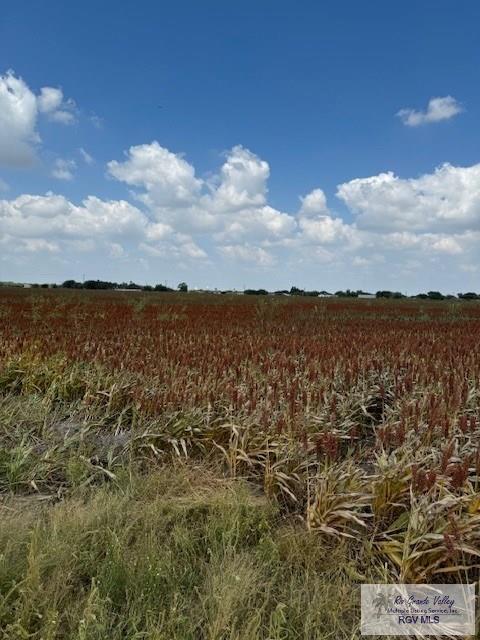 34.42 Acres Fm 345, RIO HONDO, Texas image 2