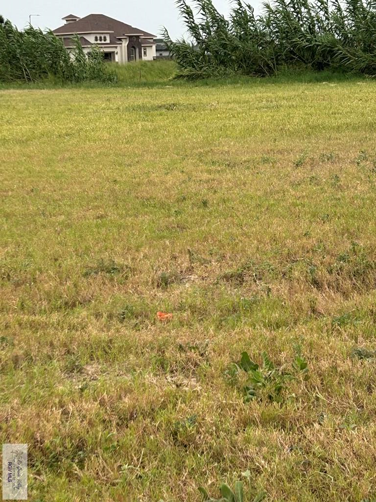 00 San Andres St, BROWNSVILLE, Texas image 4