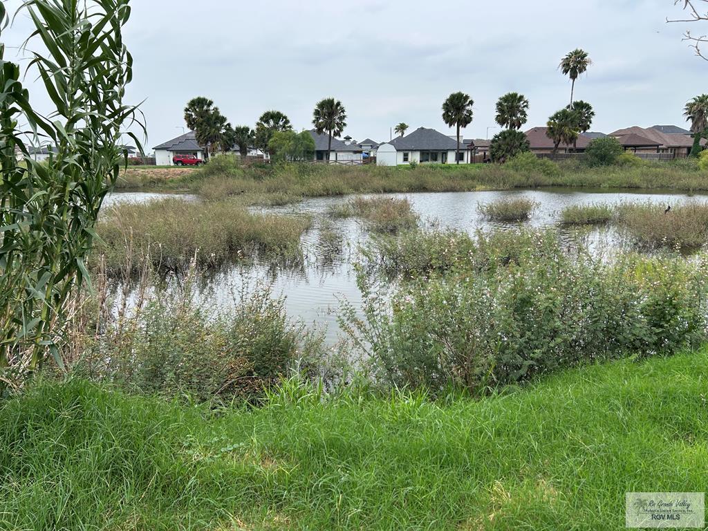 00 San Andres St, BROWNSVILLE, Texas image 6