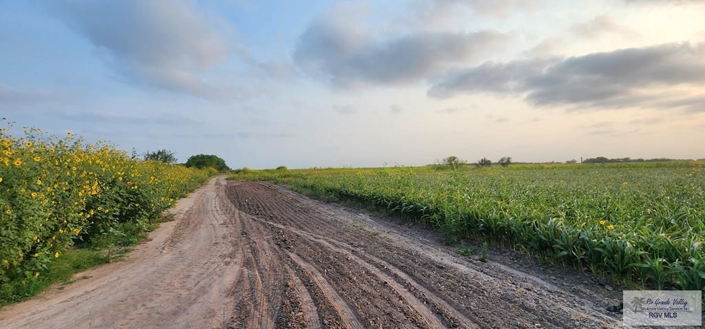 Filegonia Rd, EDCOUCH, Texas image 3