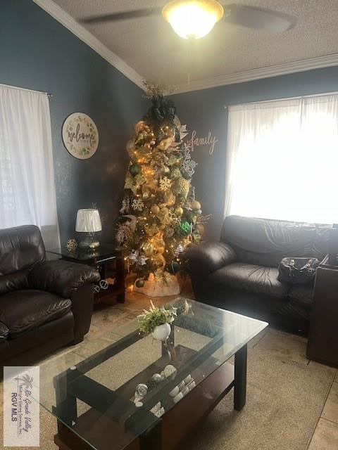 1181 Dukie Dr, BROWNSVILLE, Texas image 3