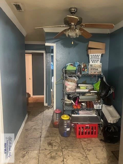 1181 Dukie Dr, BROWNSVILLE, Texas image 6