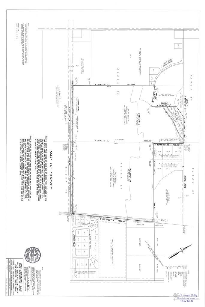 N/a E Joines Rd, SAN BENITO, Texas image 1