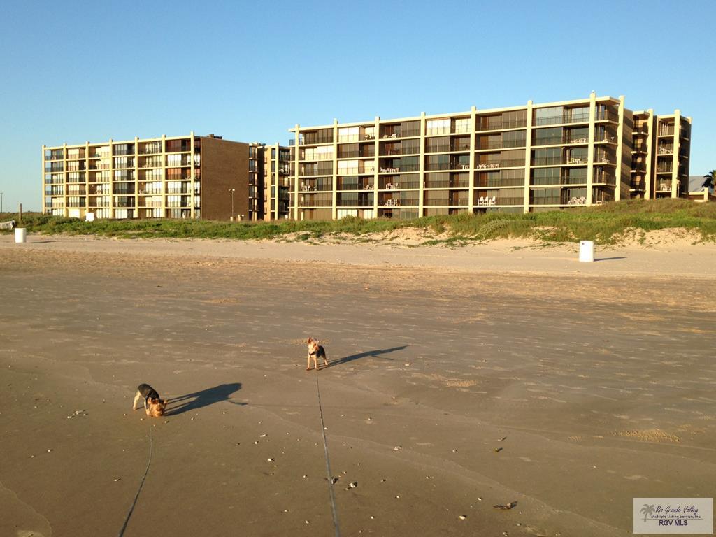 110 Padre Blvd #407, SOUTH PADRE ISLAND, Texas image 36