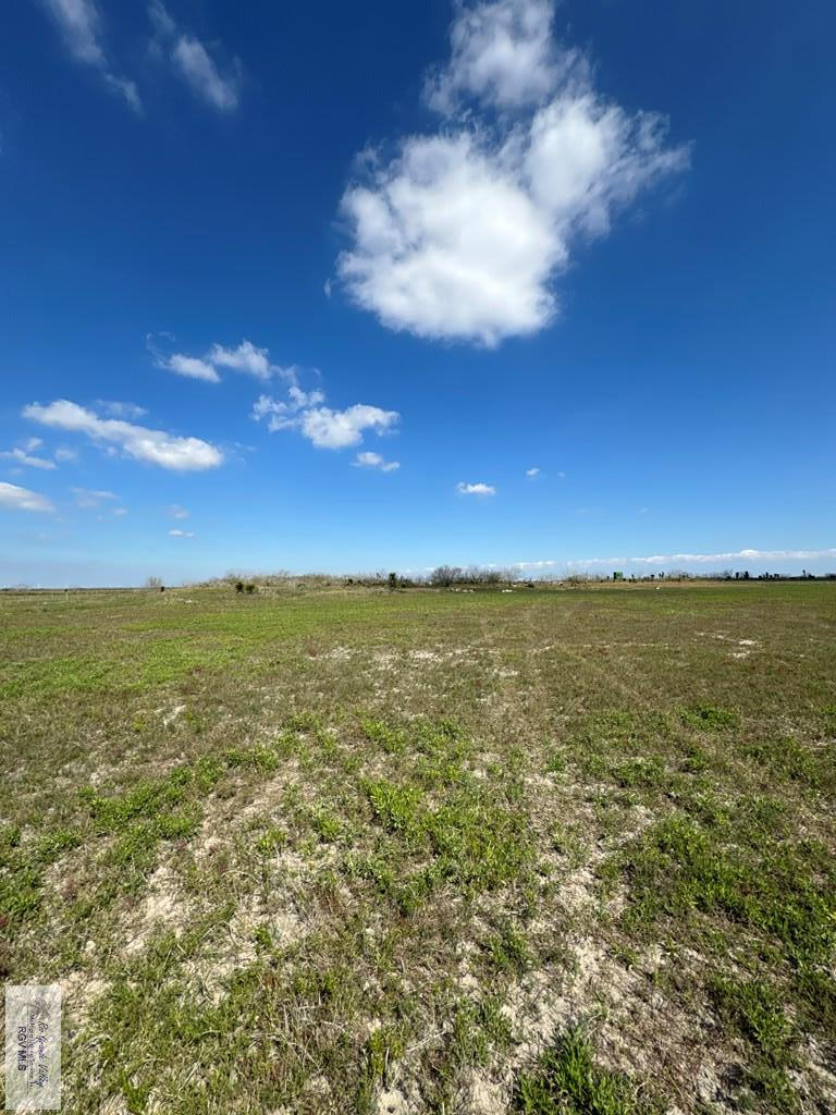 +/- 6AC San Fernando East Rd, RIO HONDO, Texas image 7