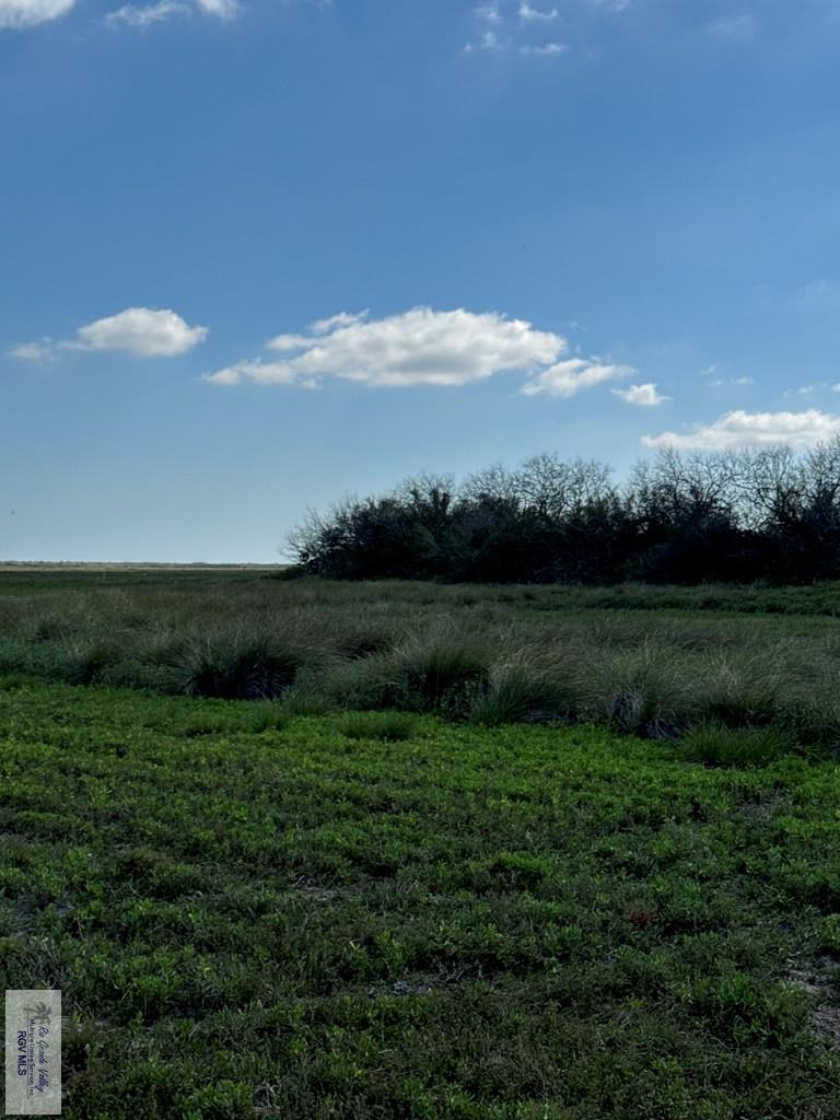 +/- 6AC San Fernando East Rd, RIO HONDO, Texas image 9