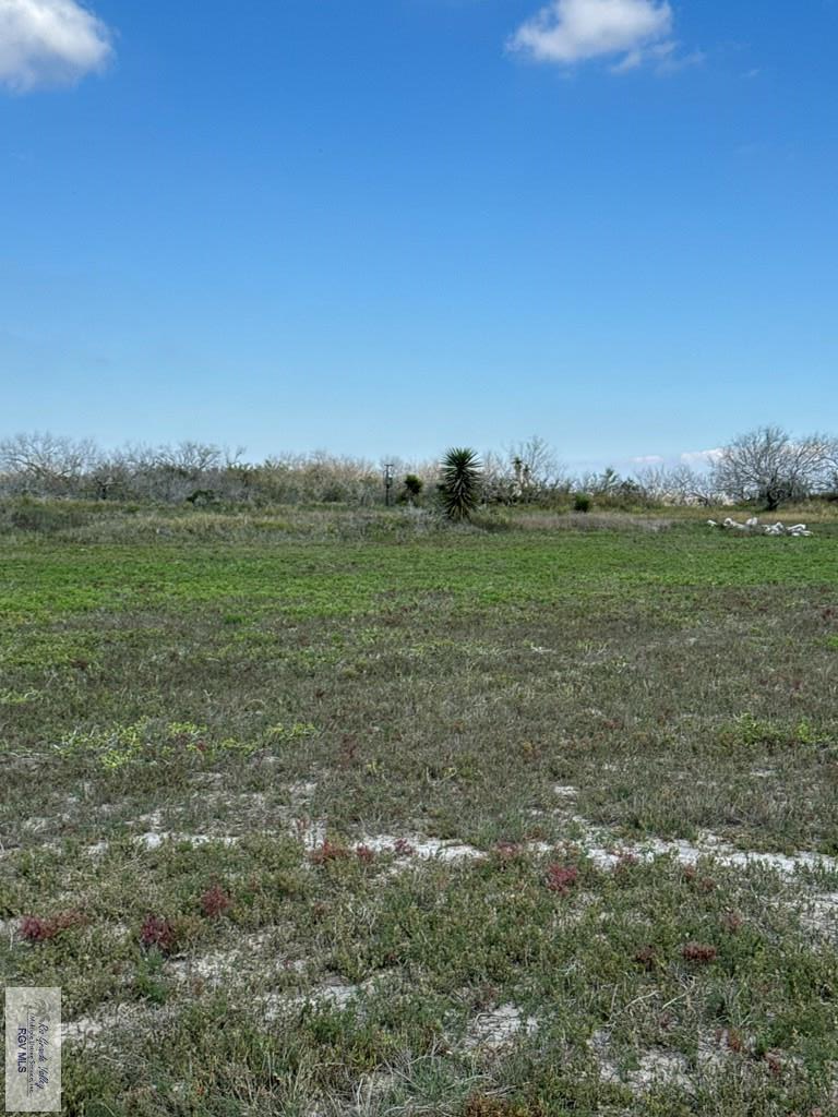 +/- 6AC San Fernando East Rd, RIO HONDO, Texas image 5