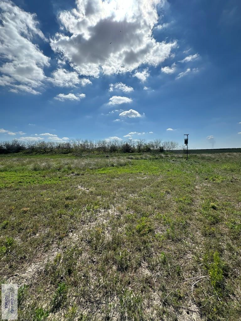 +/- 6AC San Fernando East Rd, RIO HONDO, Texas image 8