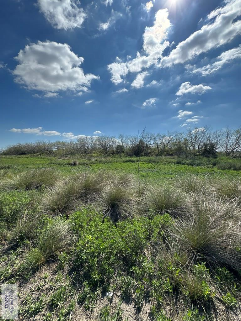 +/- 6AC San Fernando East Rd, RIO HONDO, Texas image 10