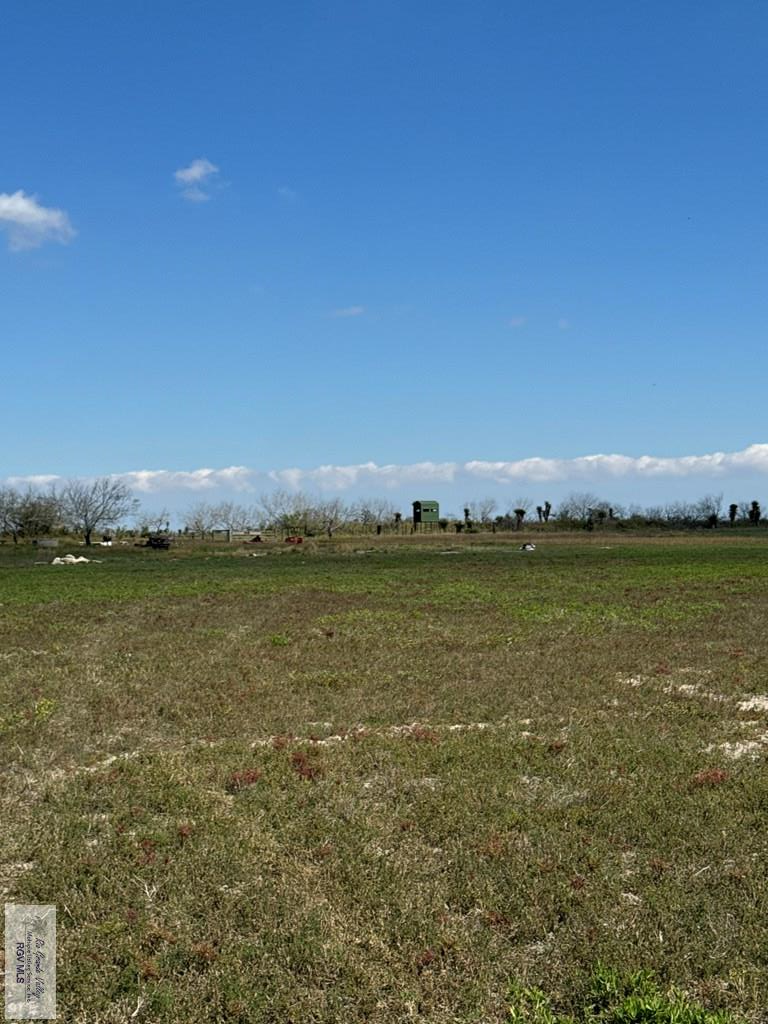 +/- 6AC San Fernando East Rd, RIO HONDO, Texas image 6