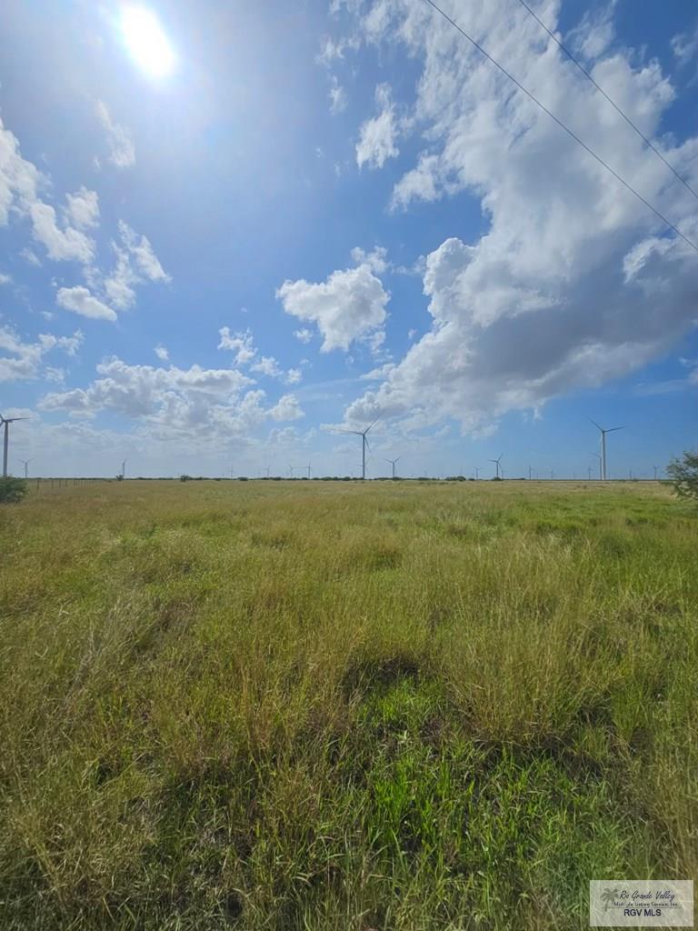 21586 Fm 1847, RIO HONDO, Texas image 3