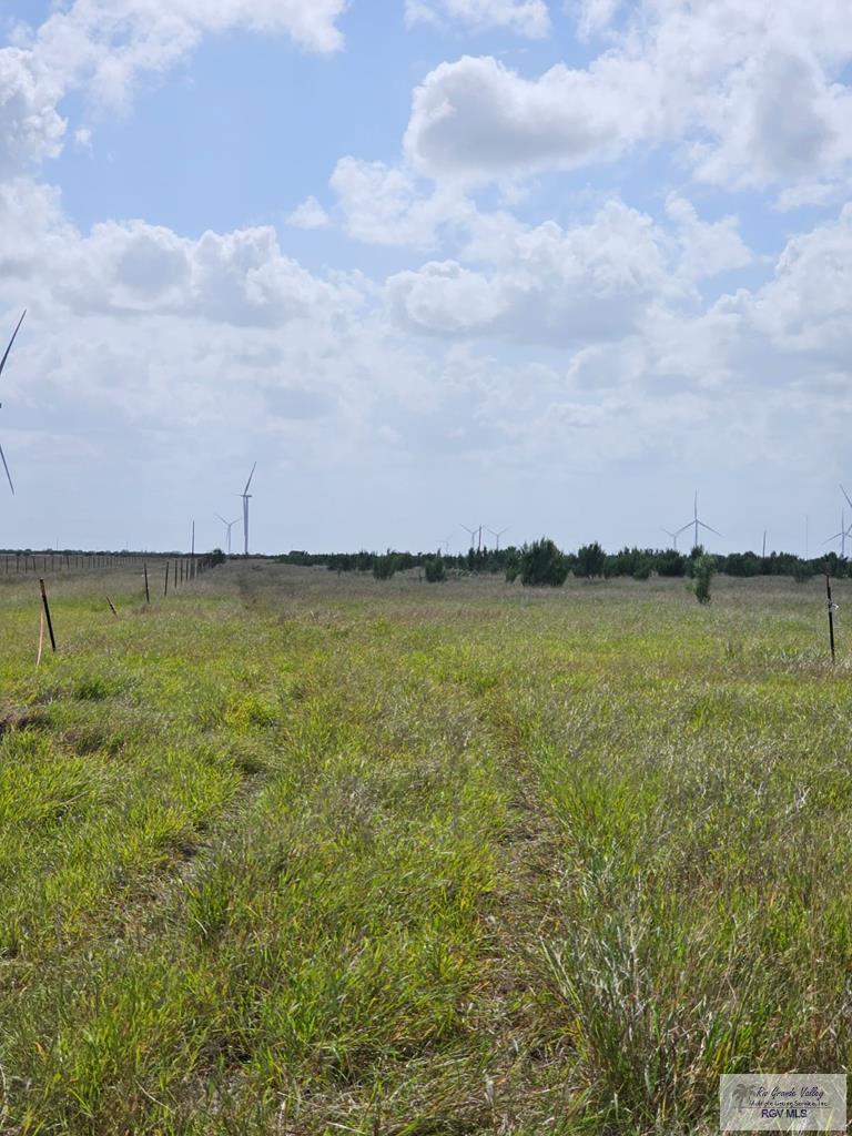 21586 Fm 1847, RIO HONDO, Texas image 1
