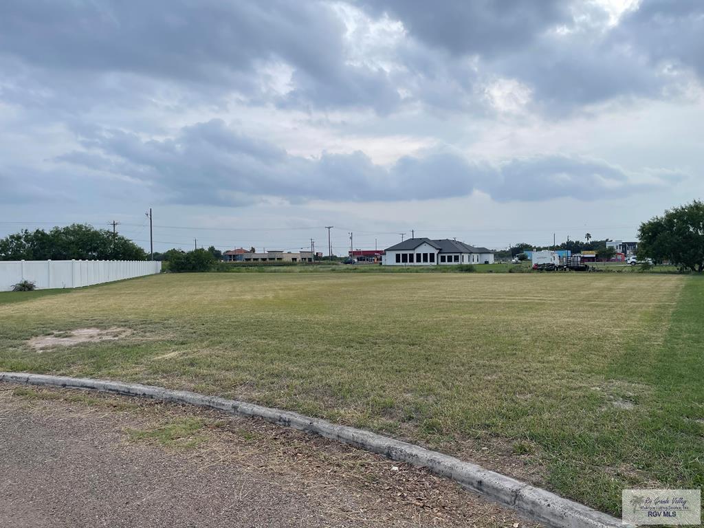 17519 S Campana Ln, ELSA, Texas image 1