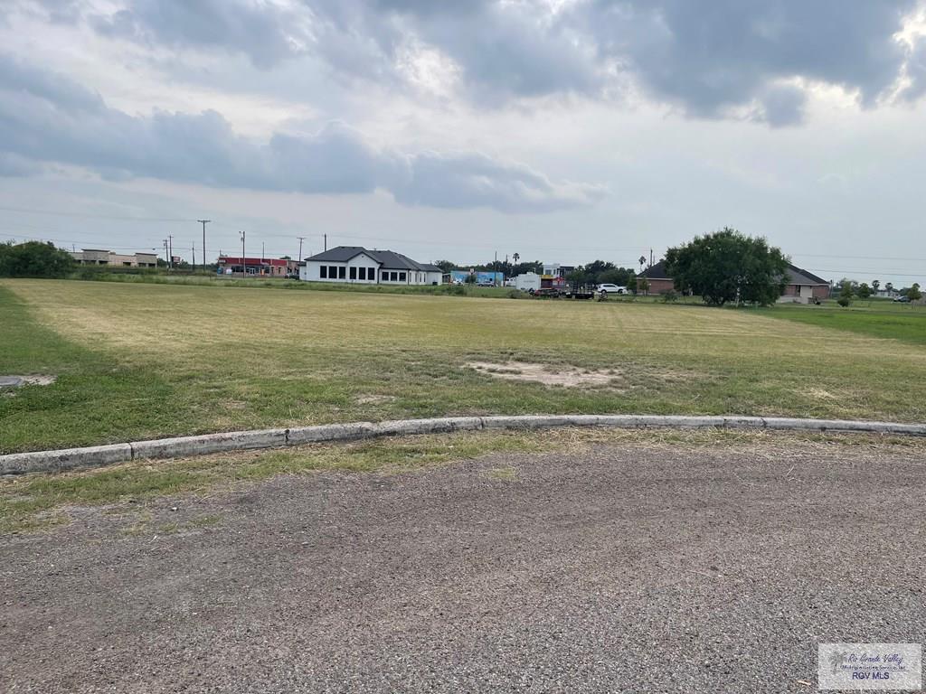 17519 S Campana Ln, ELSA, Texas image 3