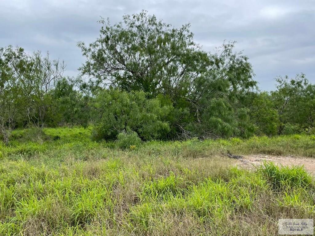 15 Lots Hwy 100, LOS FRESNOS, Texas image 4