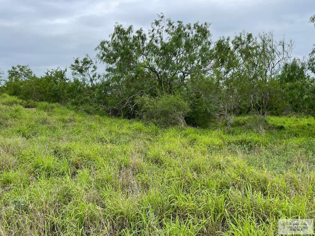 15 Lots Hwy 100, LOS FRESNOS, Texas image 1