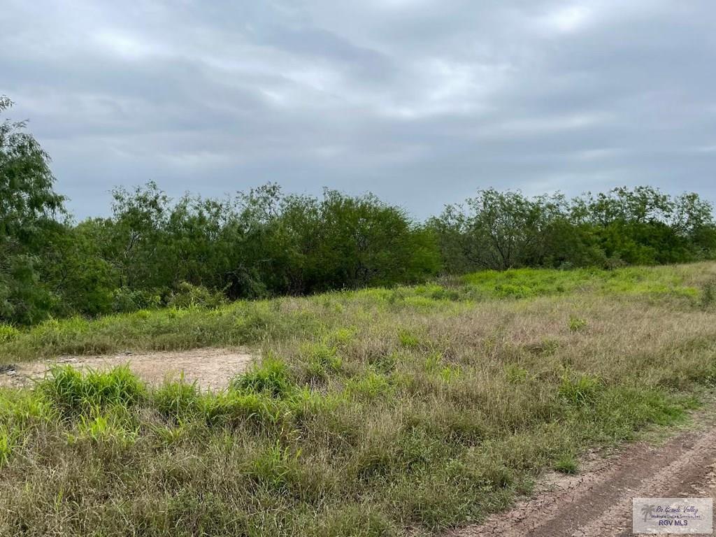 15 Lots Hwy 100, LOS FRESNOS, Texas image 3