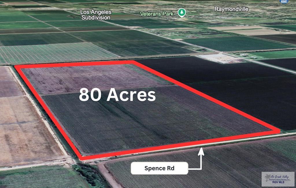 80 Acres Spence, RAYMONDVILLE, Texas image 1