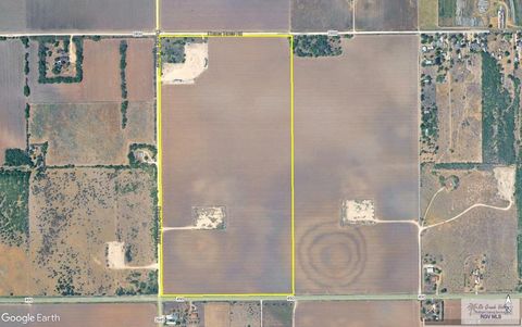 Vacant Land For Sale - 76.37 AC Fm 490<br/> Willacy County, RAYMONDVILLE, TX 78580