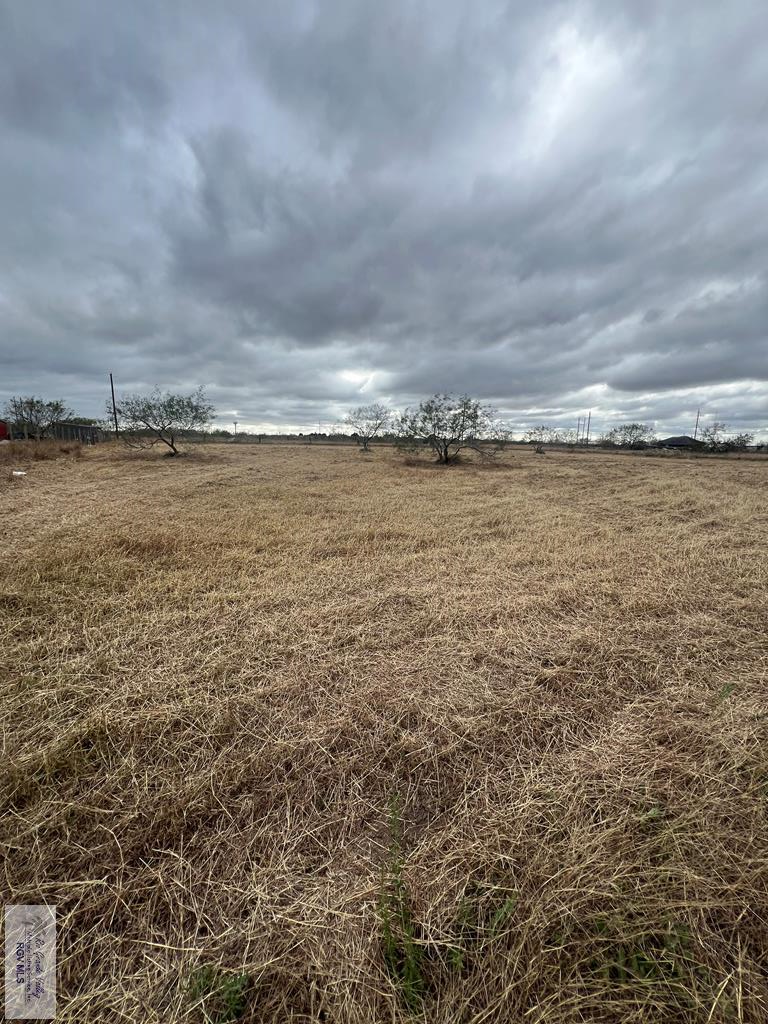 32518 Papaya Dr, LOS FRESNOS, Texas image 1