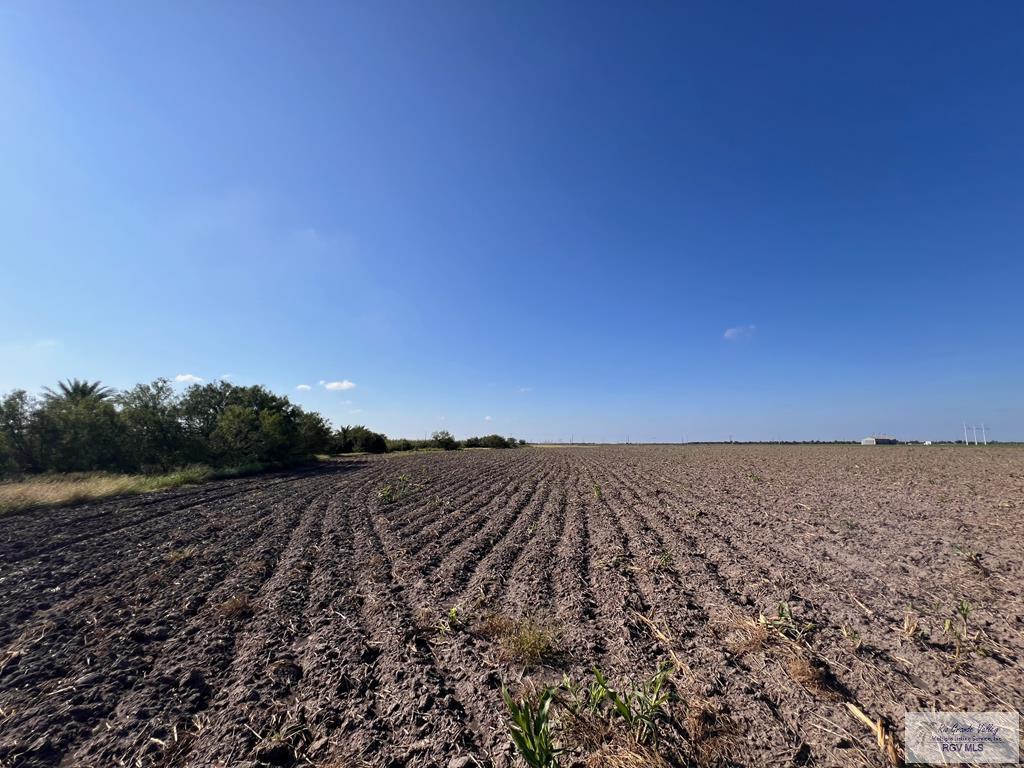 Tract 3 Fm 1595, HARLINGEN, Texas image 10