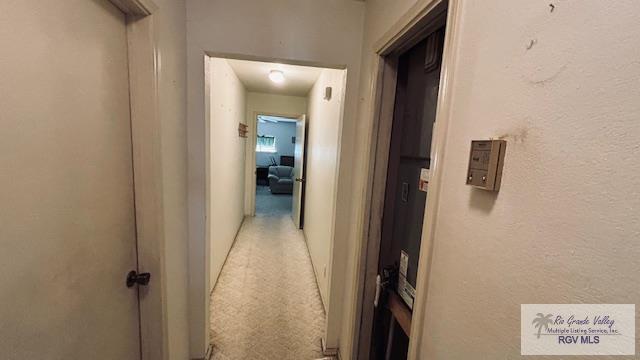 1330 Reagan St #3, SAN BENITO, Texas image 3