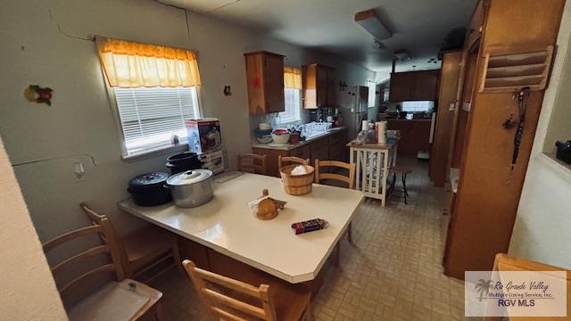 1330 Reagan St #3, SAN BENITO, Texas image 17