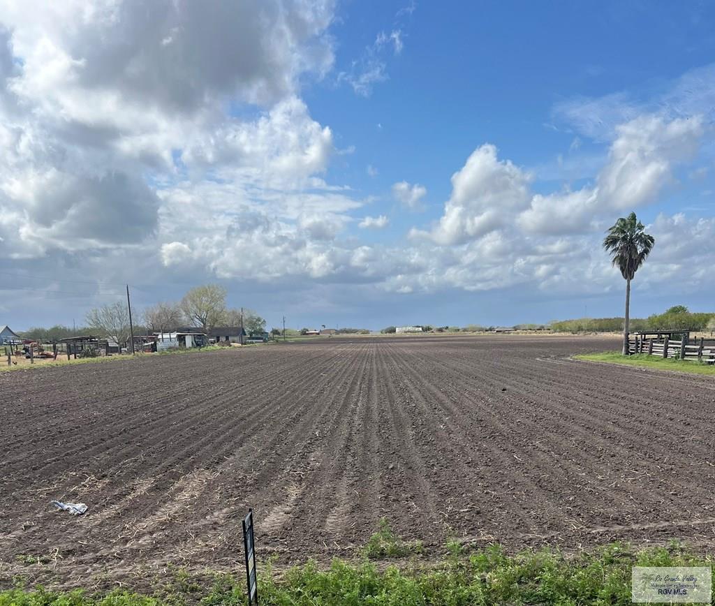 24562 Nelson Rd, SAN BENITO, Texas image 3