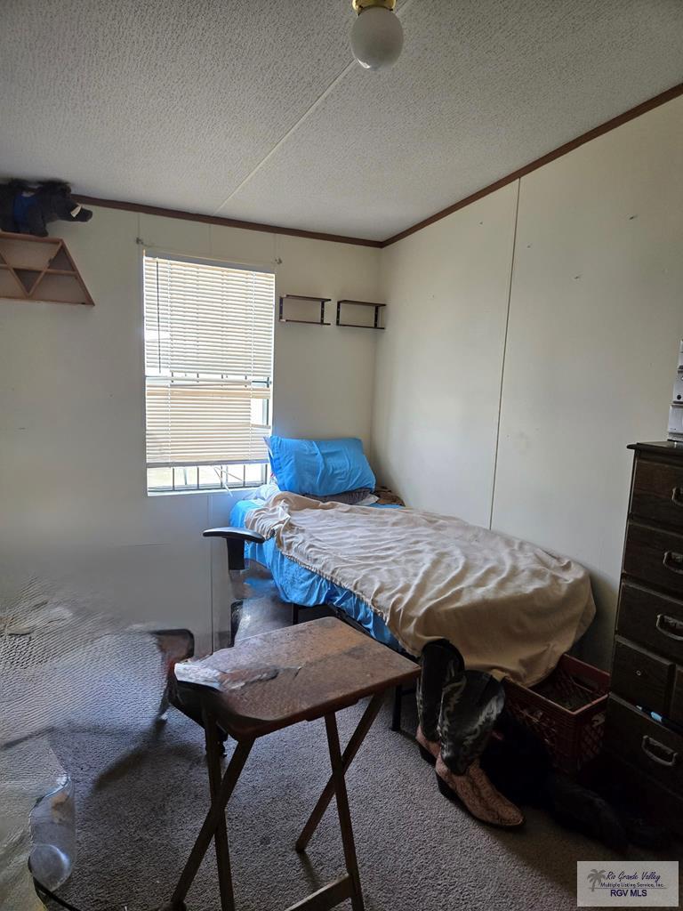 23912 San Miguel Ave, EDINBURG, Texas image 5