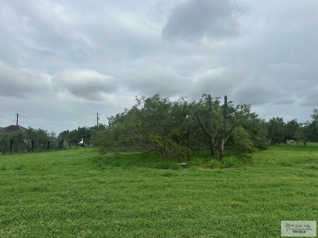 000000 Fm 1847, RIO HONDO, Texas image 5