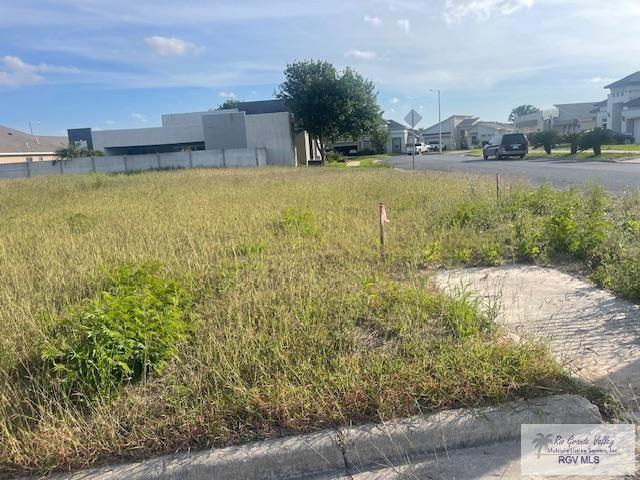 00 Morning Dr, BROWNSVILLE, Texas image 8