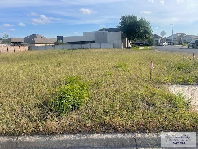 00 Morning Dr, BROWNSVILLE, Texas image 7
