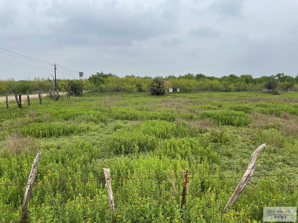 00 N Parker Rd, LA FERIA, Texas image 7