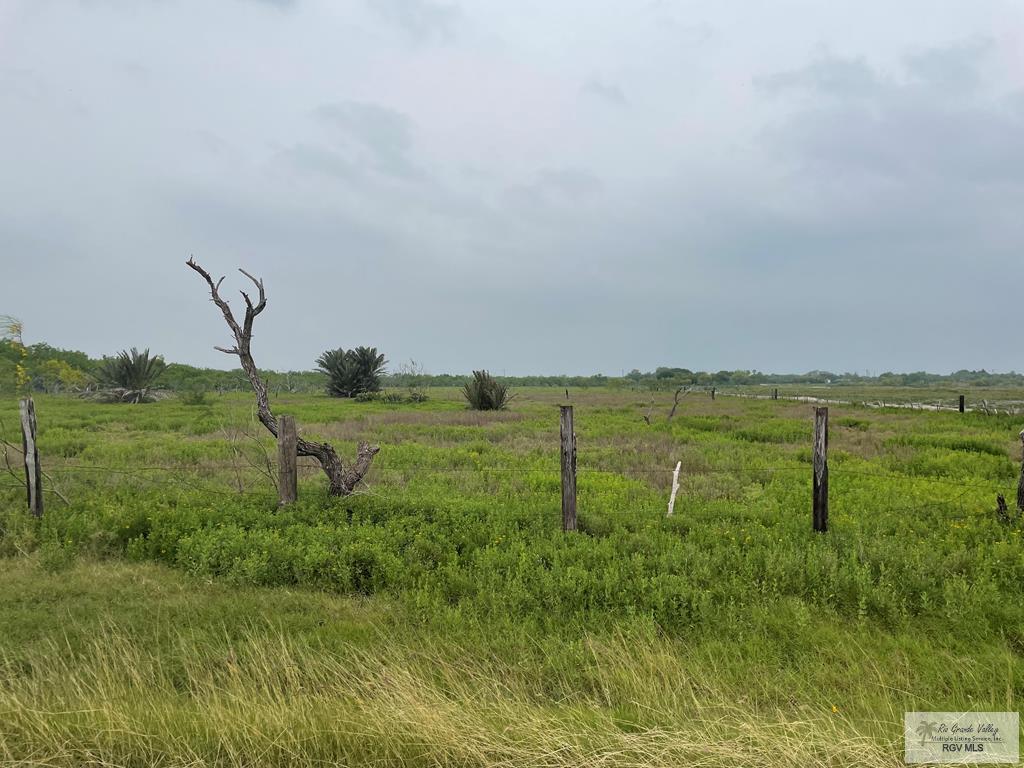 00 N Parker Rd, LA FERIA, Texas image 1