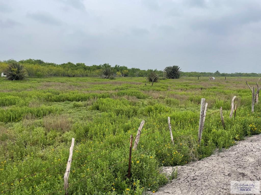 00 N Parker Rd, LA FERIA, Texas image 8