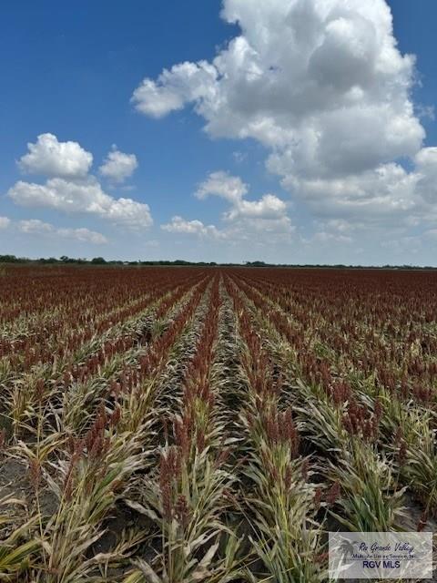 11.474 Acres Fm 345, RIO HONDO, Texas image 2