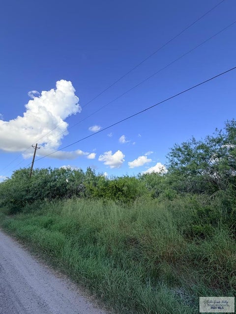 Vacant Land For Sale - 2 Los Ranchos Rd<br/> Cameron County, SAN BENITO, TX 78586